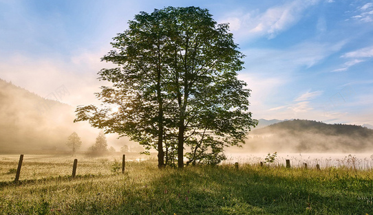 1775227383164153.png 搜狗高速浏览器截图20260403220710.png