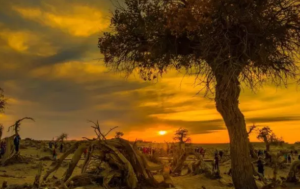 1775307977176840.png 搜狗高速浏览器截图20260404162755.png